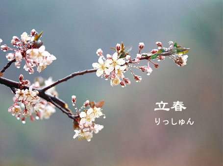 日本的“立春”节气：驱邪祈福饮清酒