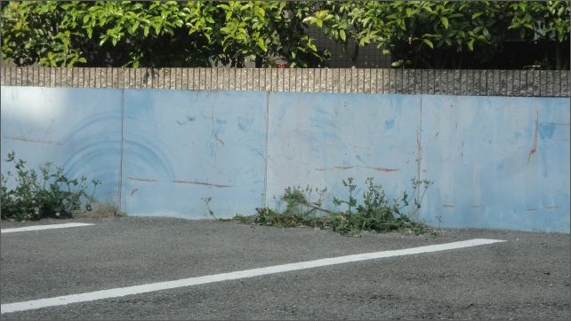 《CLANNAD～after story～》动漫圣地巡礼@大阪篇（前篇）