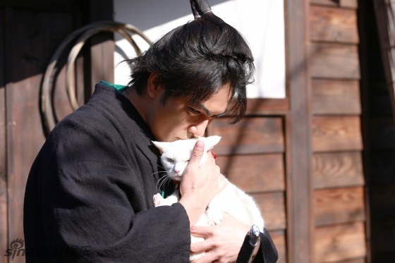 日剧《猫侍2》回归曝新剧照 喵星人萌Cry