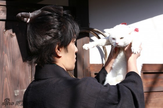 日剧《猫侍2》回归曝新剧照 喵星人萌Cry