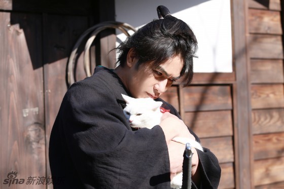 日剧《猫侍2》回归曝新剧照 喵星人萌Cry