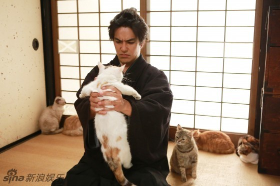 日剧《猫侍2》回归曝新剧照 喵星人萌Cry