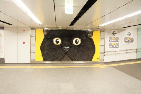 东京涉谷站出现4米巨大黑猫 可直接触摸