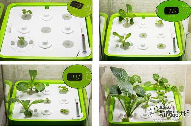 水耕栽培器green Farm Cube 三 日本通