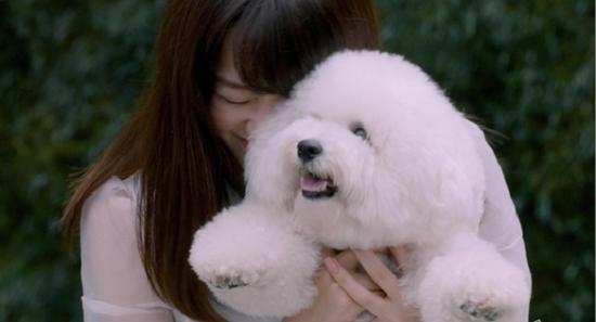 桐谷美玲抱狗拍广告 亲密接触被狗狂舔