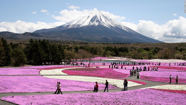 【不止是樱花】日本最美31景