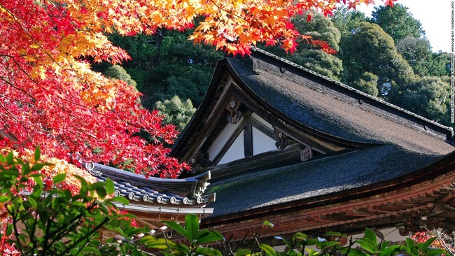 【不止是樱花】日本最美31景