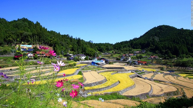 【不止是樱花】日本最美31景