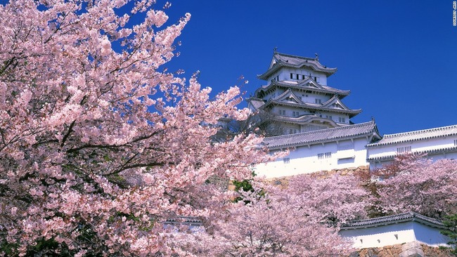 【不止是樱花】日本最美31景