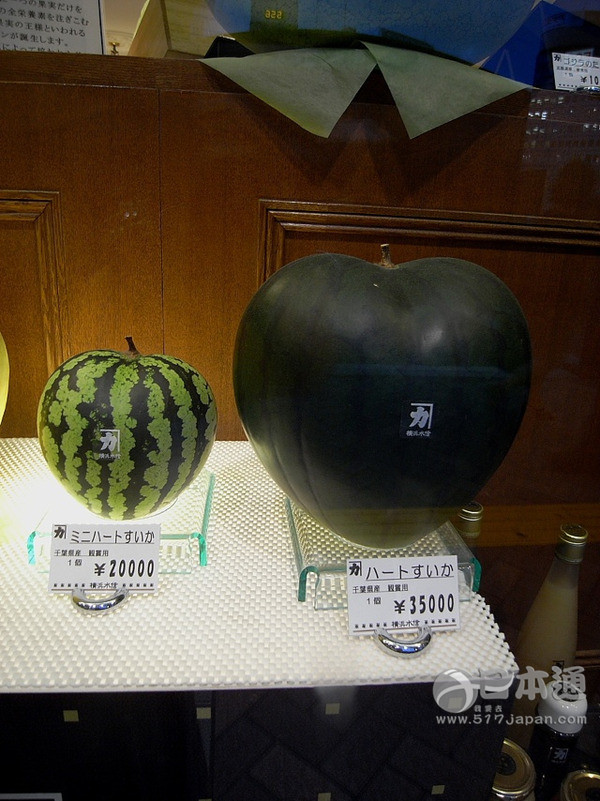 日本人真的吃不起西瓜吗？