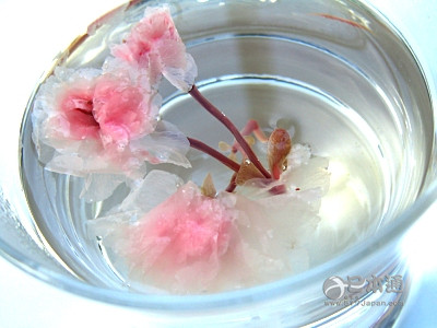 ❀万万没想到，樱花还能拿来泡茶❀