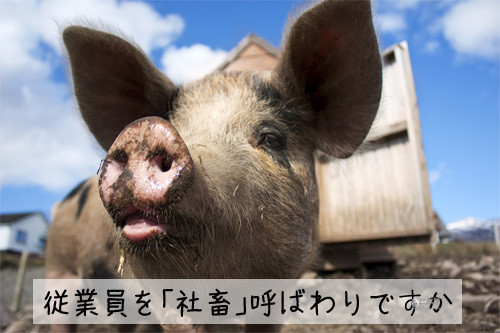 你知道“社畜童话”吗？丨日本工薪阶层的虐心残酷物语