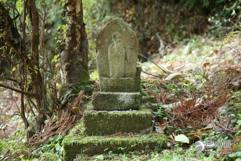 日本旅游之广大慈悲之路——熊野古道（上篇）