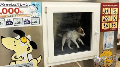 无所不能的日本自动贩卖机