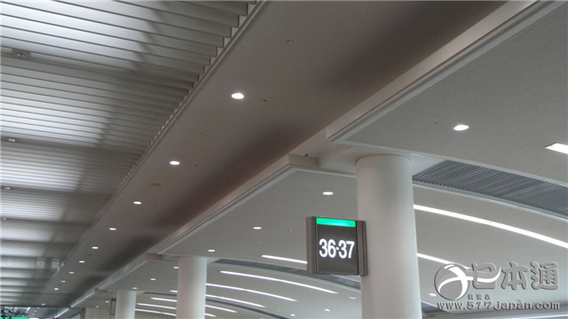 《滨虎》动漫圣地巡礼冲绳&神奈川