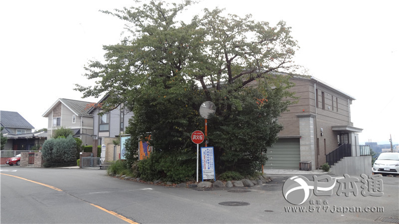 《一周的朋友》动漫圣地巡礼&多摩篇之二