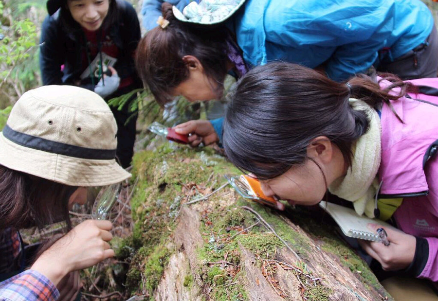 日本兴起“观察苔藓”热潮 盯着苔藓看数小时