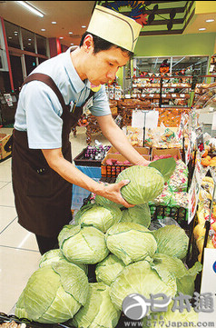 日本因日照不足导致蔬菜价格猛涨