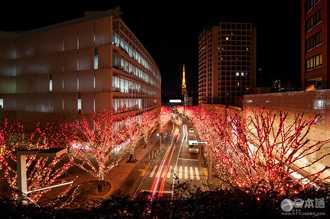 2015年日本最值得期待的六大灯展