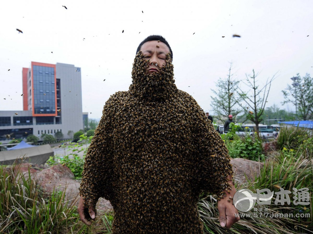 日本人是如何看待扬州炒饭记录失效这件事的