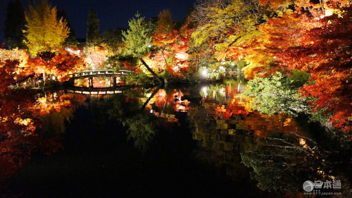 【推荐】日本京都最值得一看的十大夜景（下）
