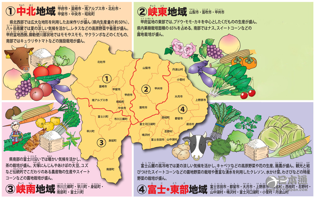 瞄准访日外国人 日观光厅推农产品标志制度 - 日本通