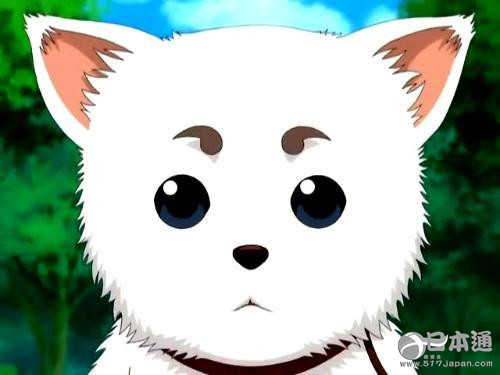 萌值爆表~日本动漫“最可爱吉祥物角色”TOP10