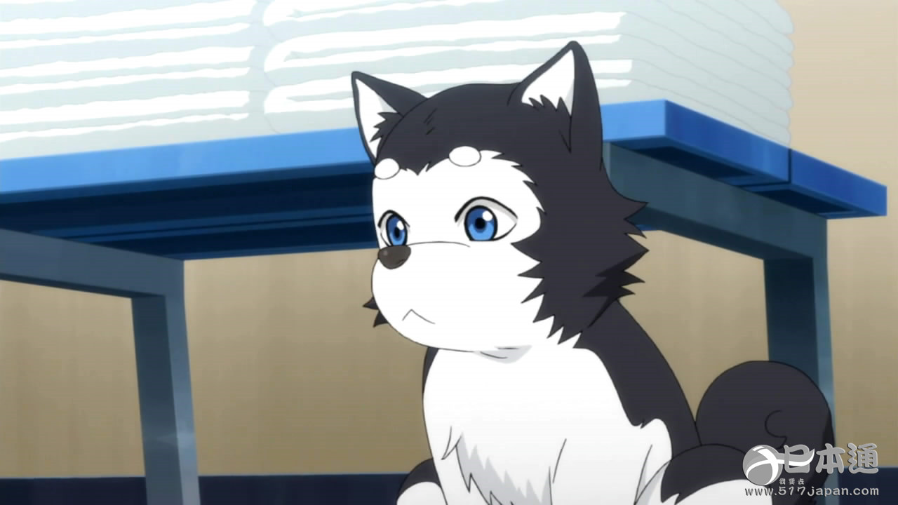 萌值爆表~日本动漫“最可爱吉祥物角色”TOP10