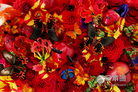 性冷淡与性热烈之间站着日本设计