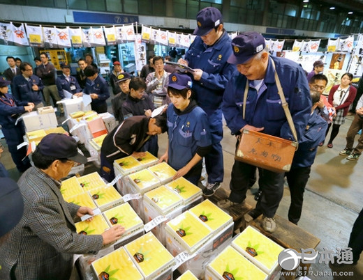 大阪举行今年盐渍鲱鱼籽首次竞拍
