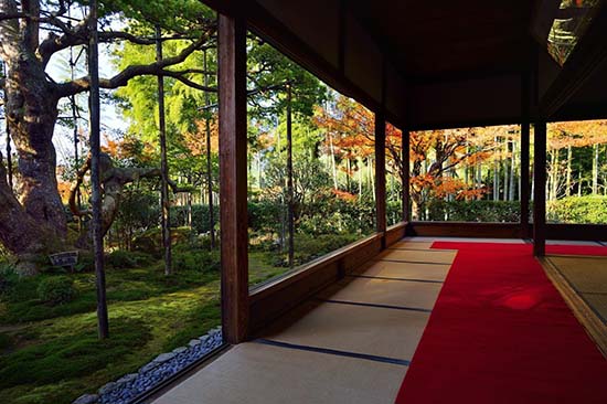 日本旅游京都红叶季·盘点红叶与文化交相辉映的观赏地