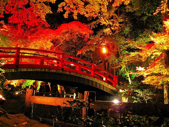 日本旅游京都红叶季·盘点红叶与文化交相辉映的观赏地