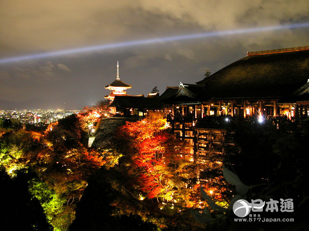 抓住秋天的尾巴 去欣赏京都古刹名园的灯光红叶