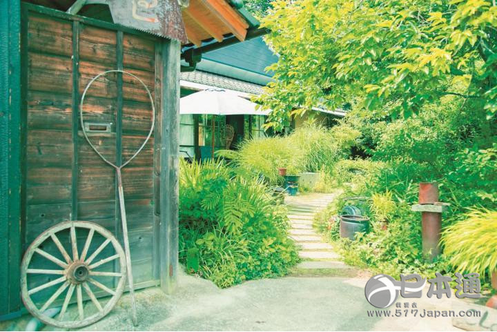 静待日本最美星空揭幕  冈山县美星町美食之旅