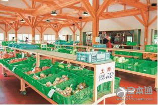 静待日本最美星空揭幕  冈山县美星町美食之旅