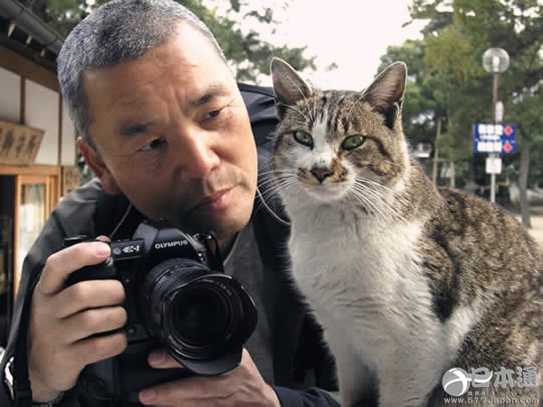 他拍遍了全日本的猫——岩合光昭眼中猫的世界