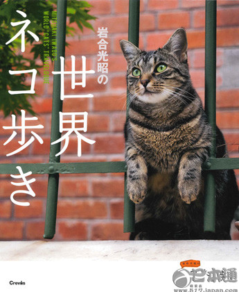 他拍遍了全日本的猫——岩合光昭眼中猫的世界