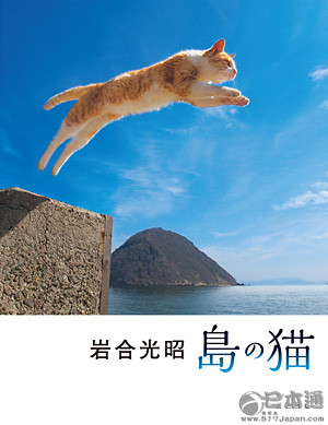 他拍遍了全日本的猫——岩合光昭眼中猫的世界