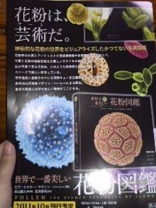 日本人竟然出了本帅和尚写真