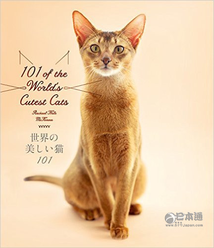 日本人竟然出了本帅和尚写真