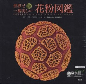 日本人竟然出了本帅和尚写真