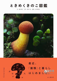 日本人竟然出了本帅和尚写真