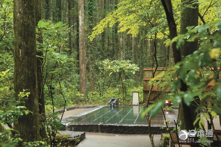 熊本县山鹿温泉之旅  享受“天然化妆水”美人浴