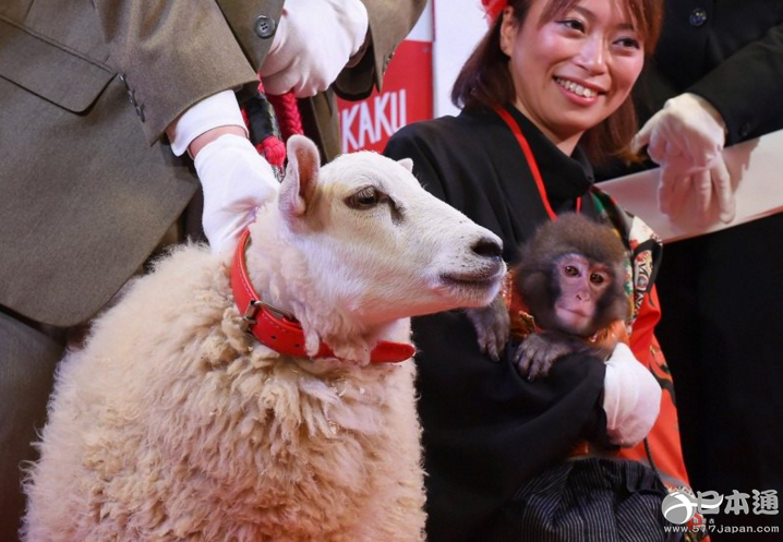从中国传到日本的“猴”文化是怎样的？