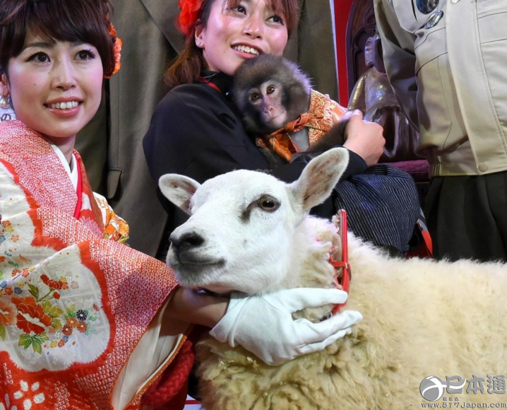 从中国传到日本的“猴”文化是怎样的？