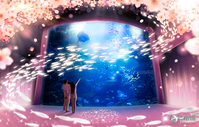 京都水族馆互动艺术活动 体验梦幻春色