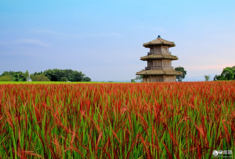 鞠智城