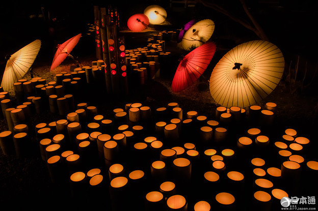 山鹿灯笼浪漫・百华百彩