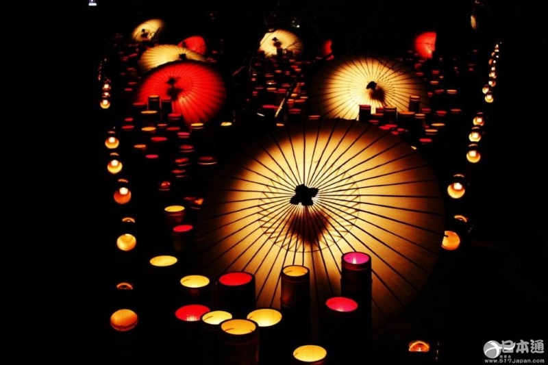 山鹿灯笼浪漫・百华百彩