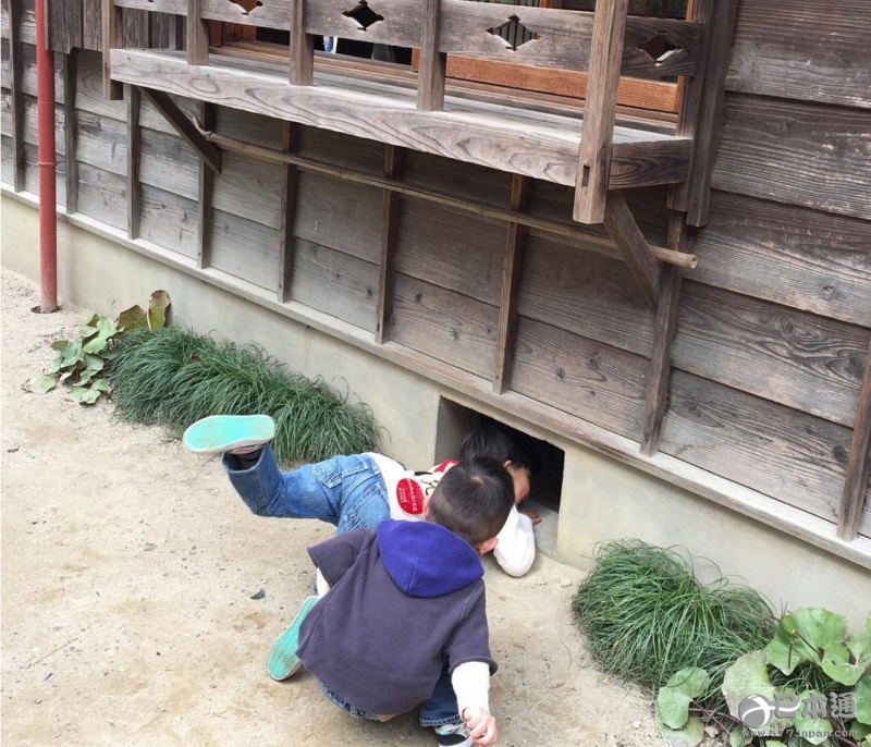 神还原！现实中龙猫之家真实存在